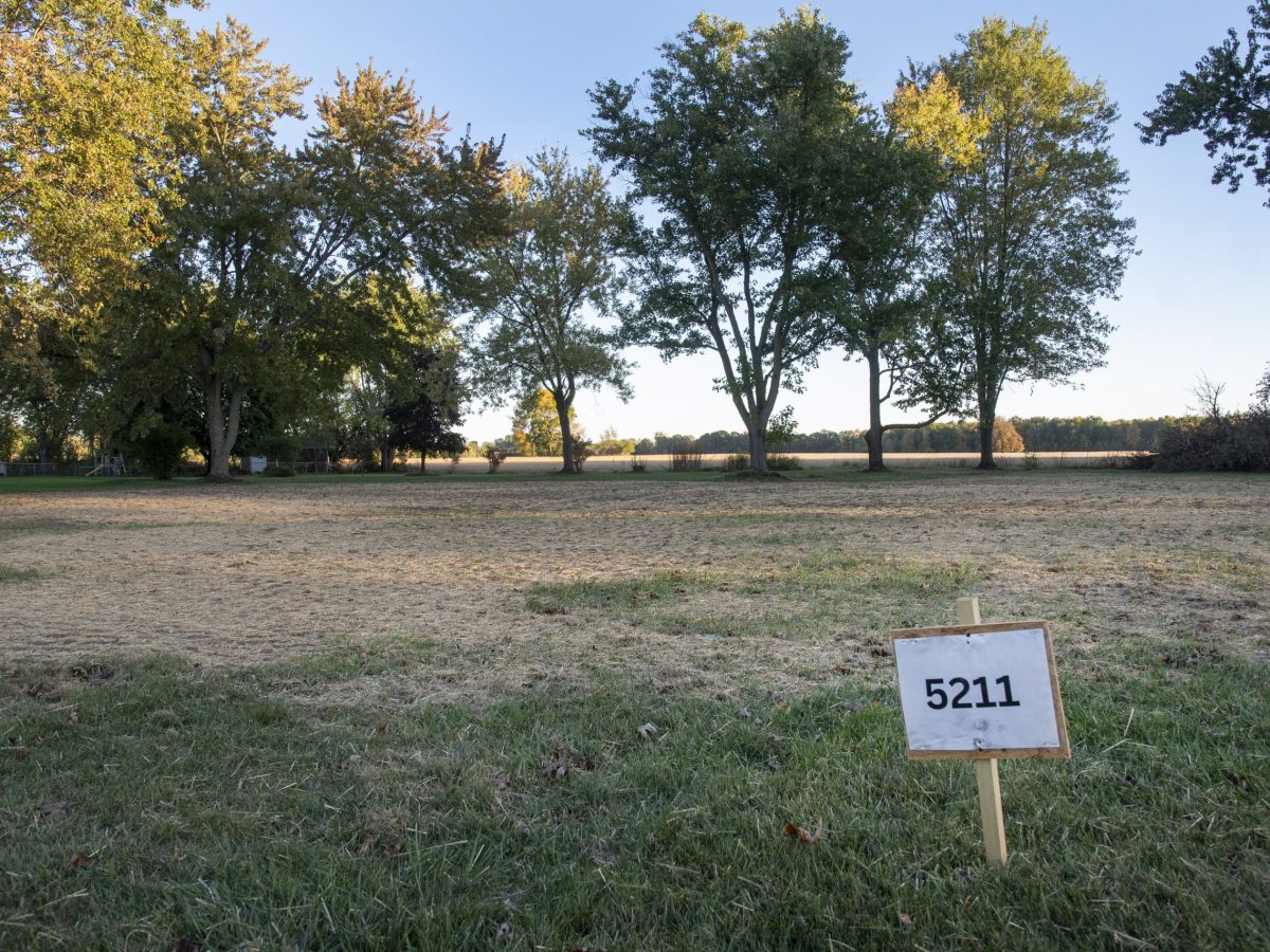 Demolition of houses escalated last fall, including at this site on Maple Road. Since then, tree clearing also has continued over the winter. (Jeff Schrier for Bridge Michigan)