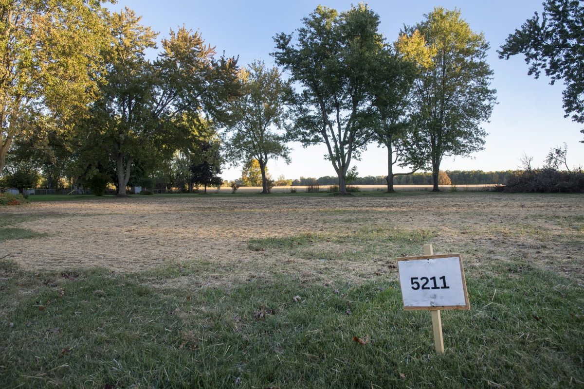 Demolition of houses escalated last fall, including at this site on Maple Road. Since then, tree clearing also has continued over the winter. (Jeff Schrier for Bridge Michigan)
