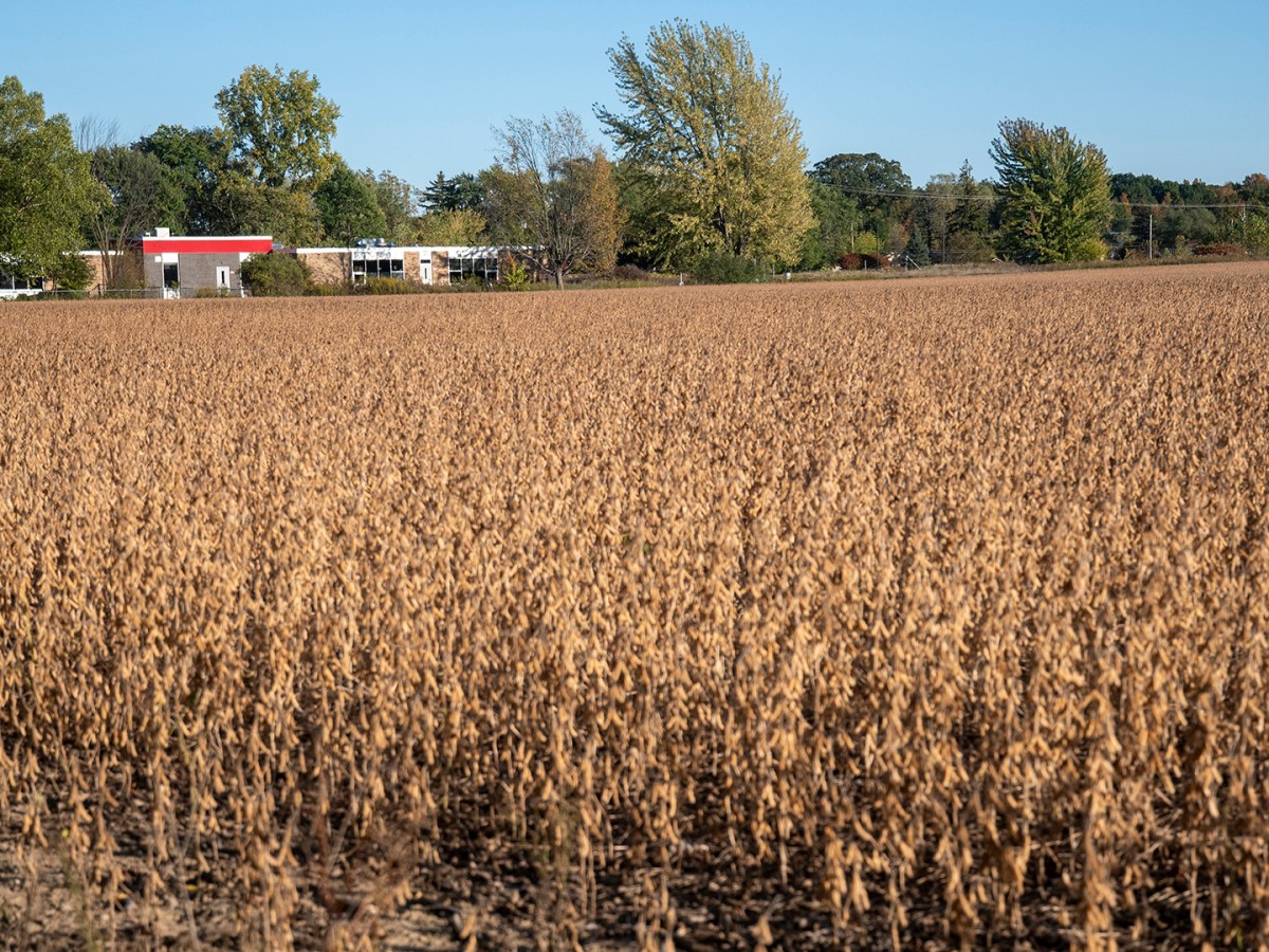 Empty farmland that has been acquired for a megasite.
