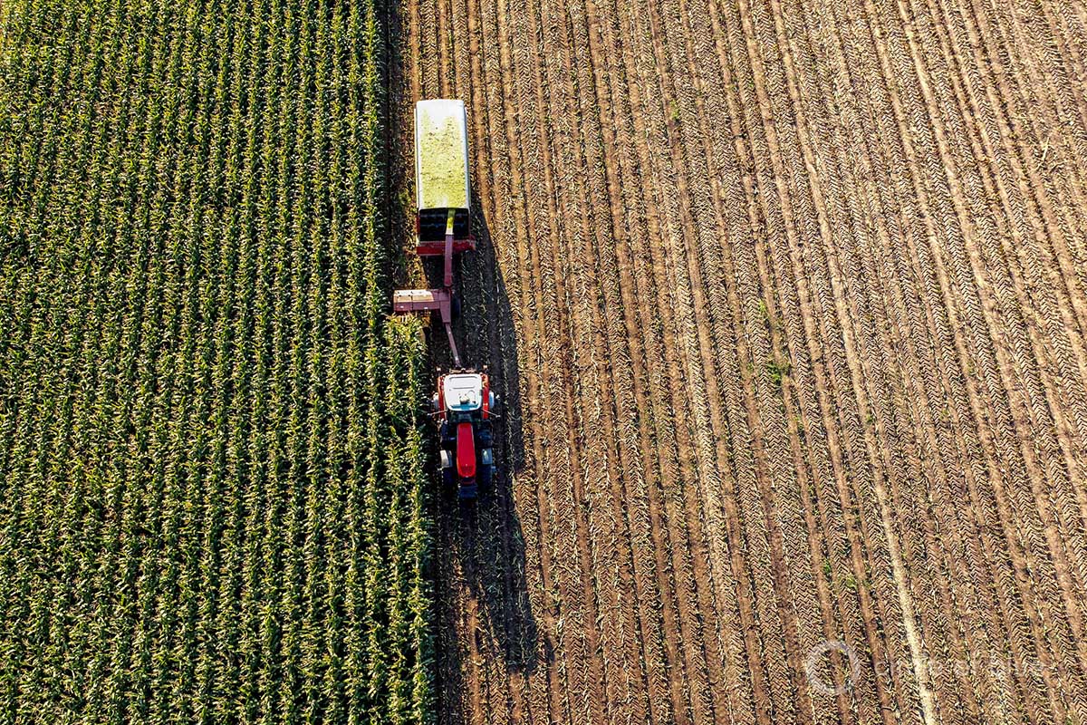 farm