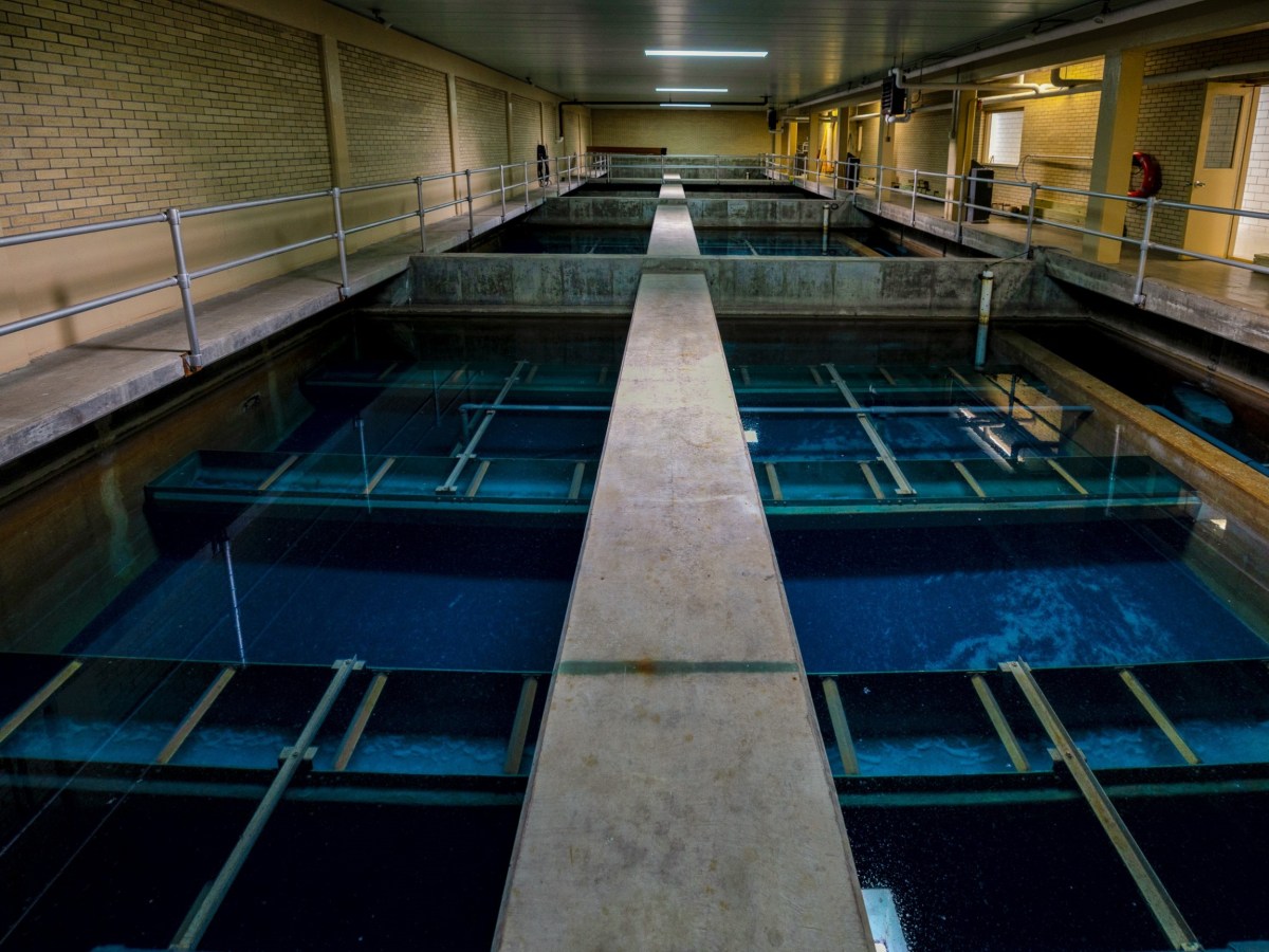 water reservoir