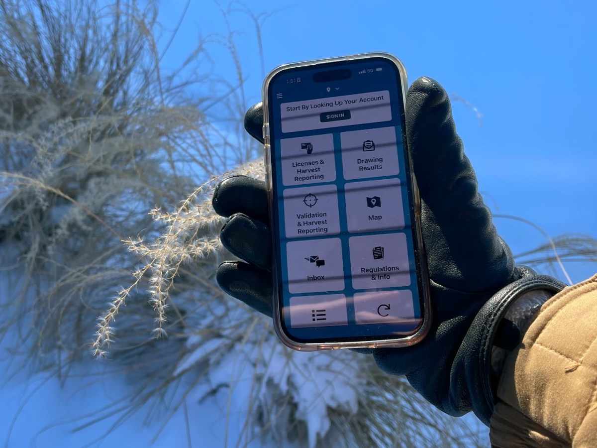 A person holds a smartphone with an app open on it