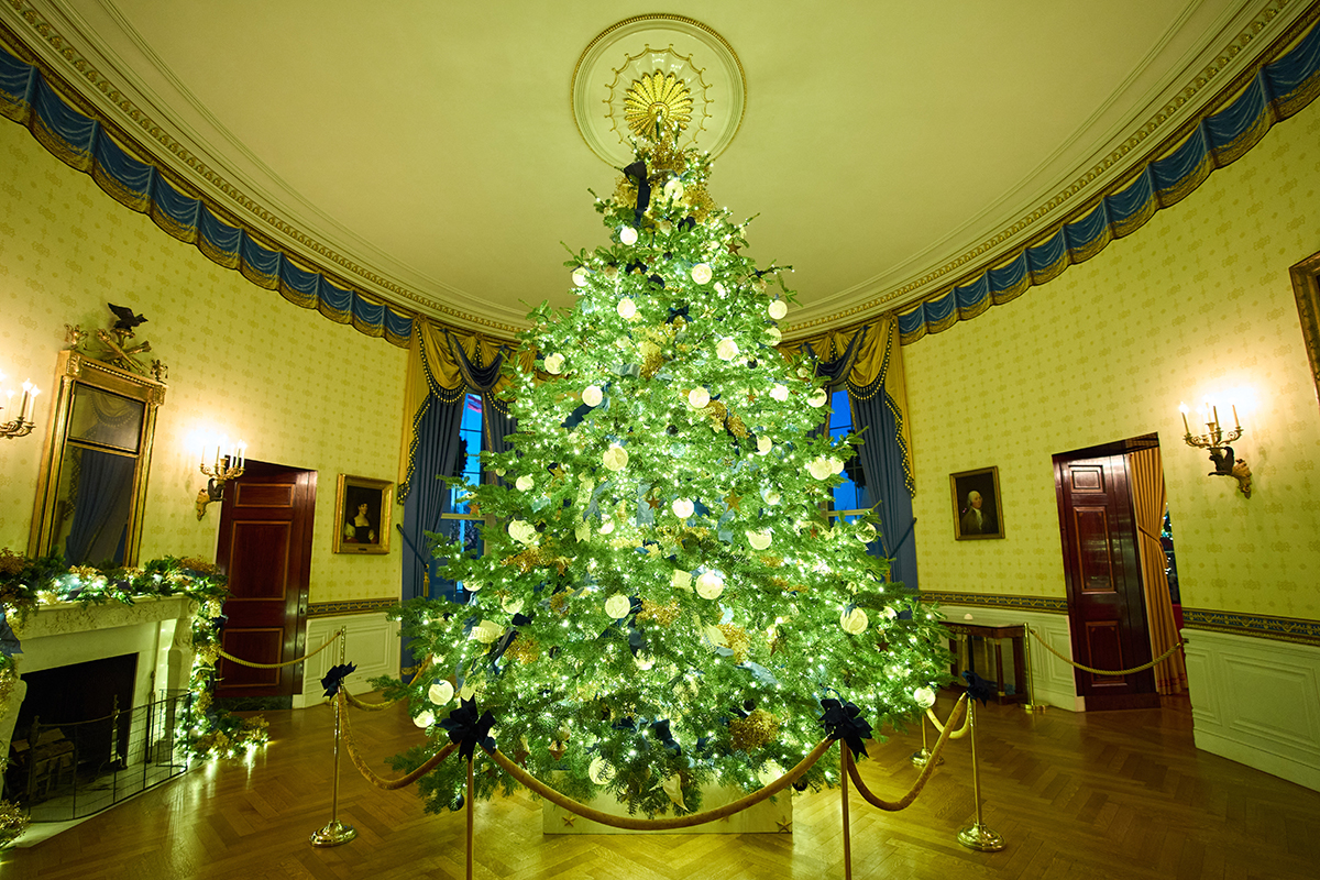 A decorated Christmas tree.