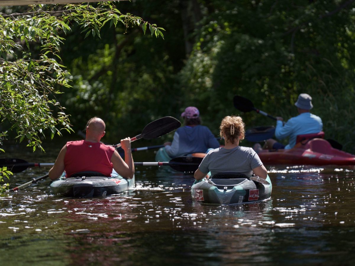 People canoeing in Grayling, Mich.