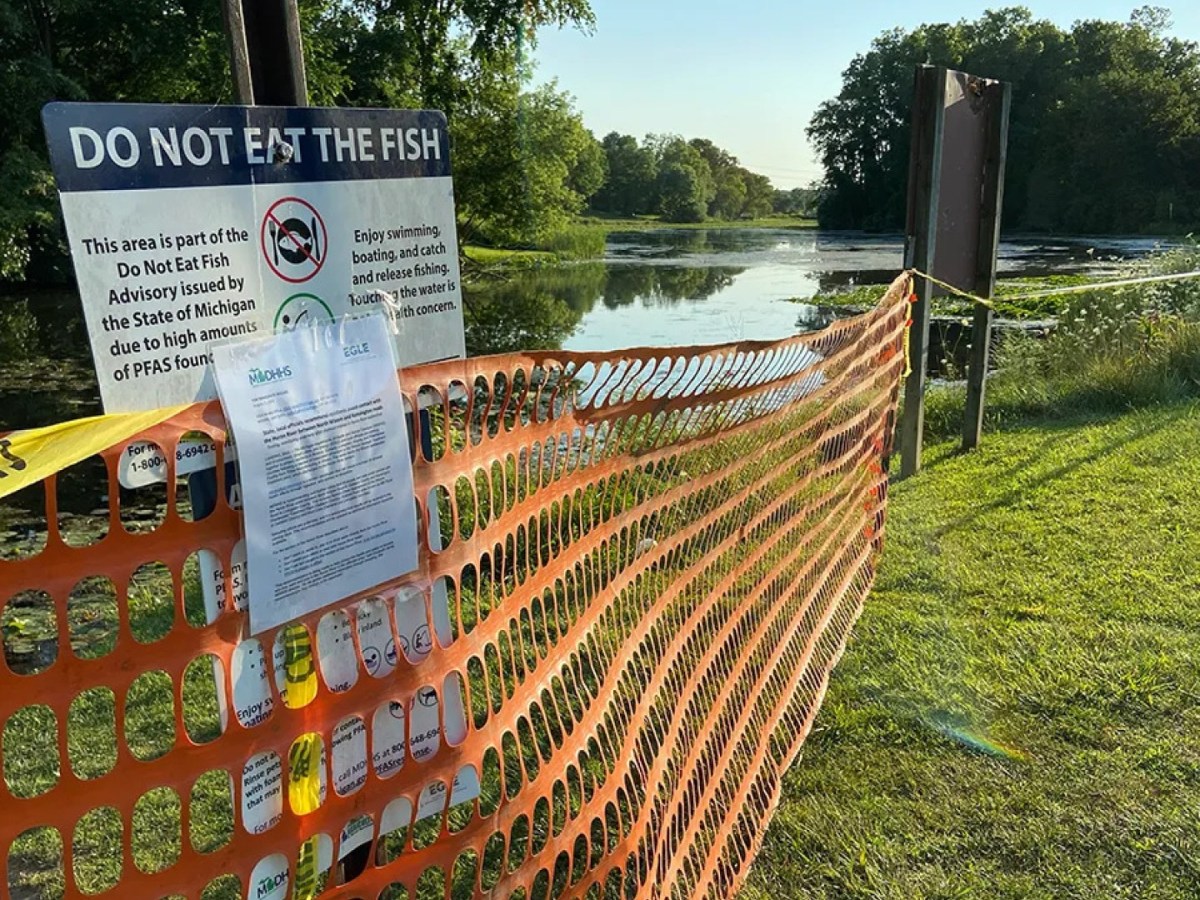 A "Do Not Eat The Fish" sign on a fence near a river