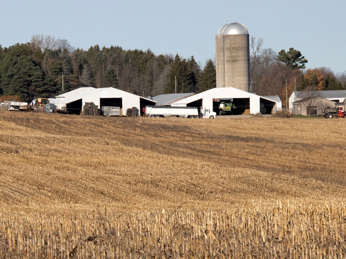 A empty farm.