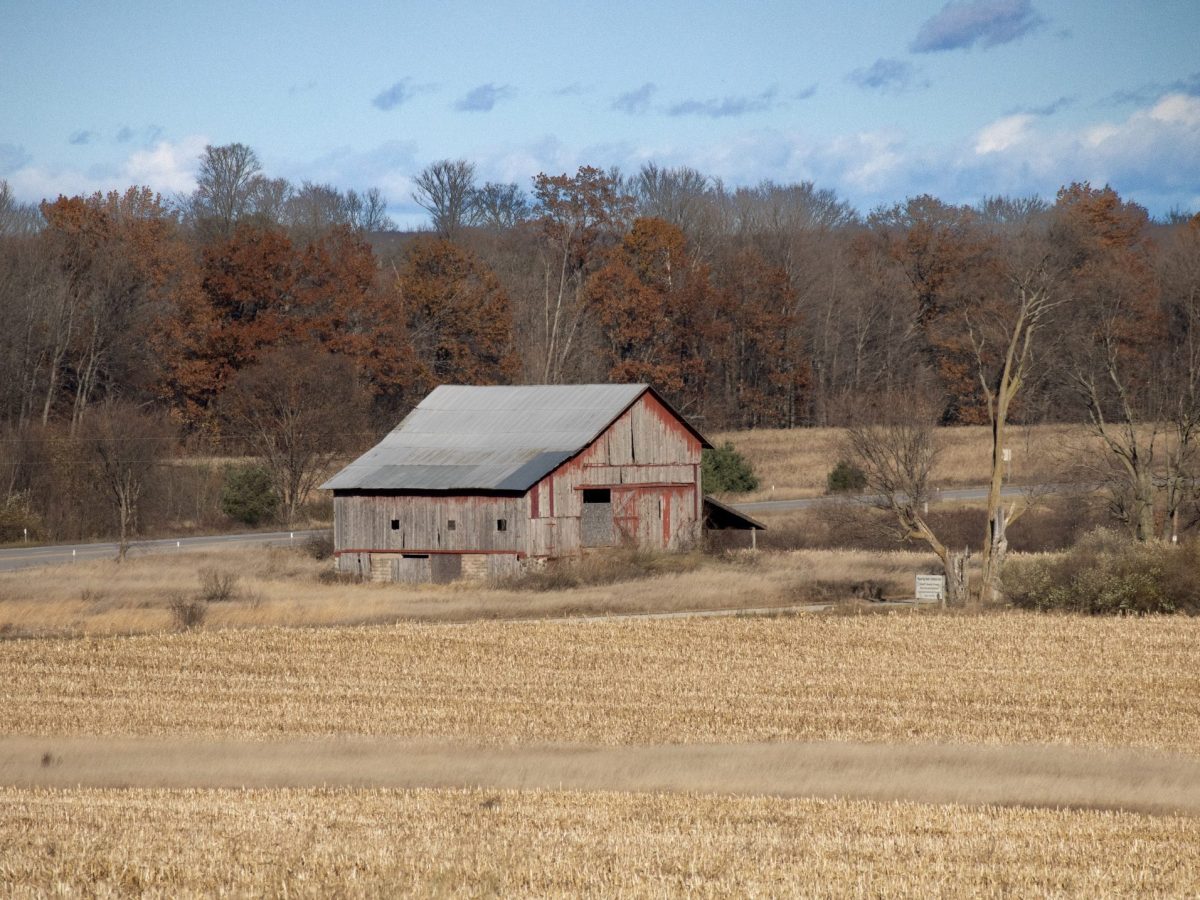 Red barn in front of field