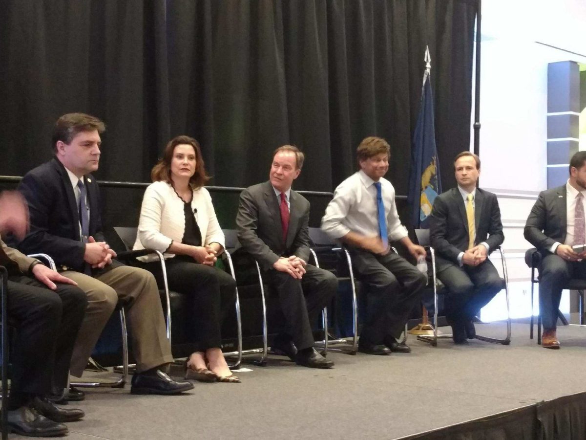 2018 Michigan governor candidates