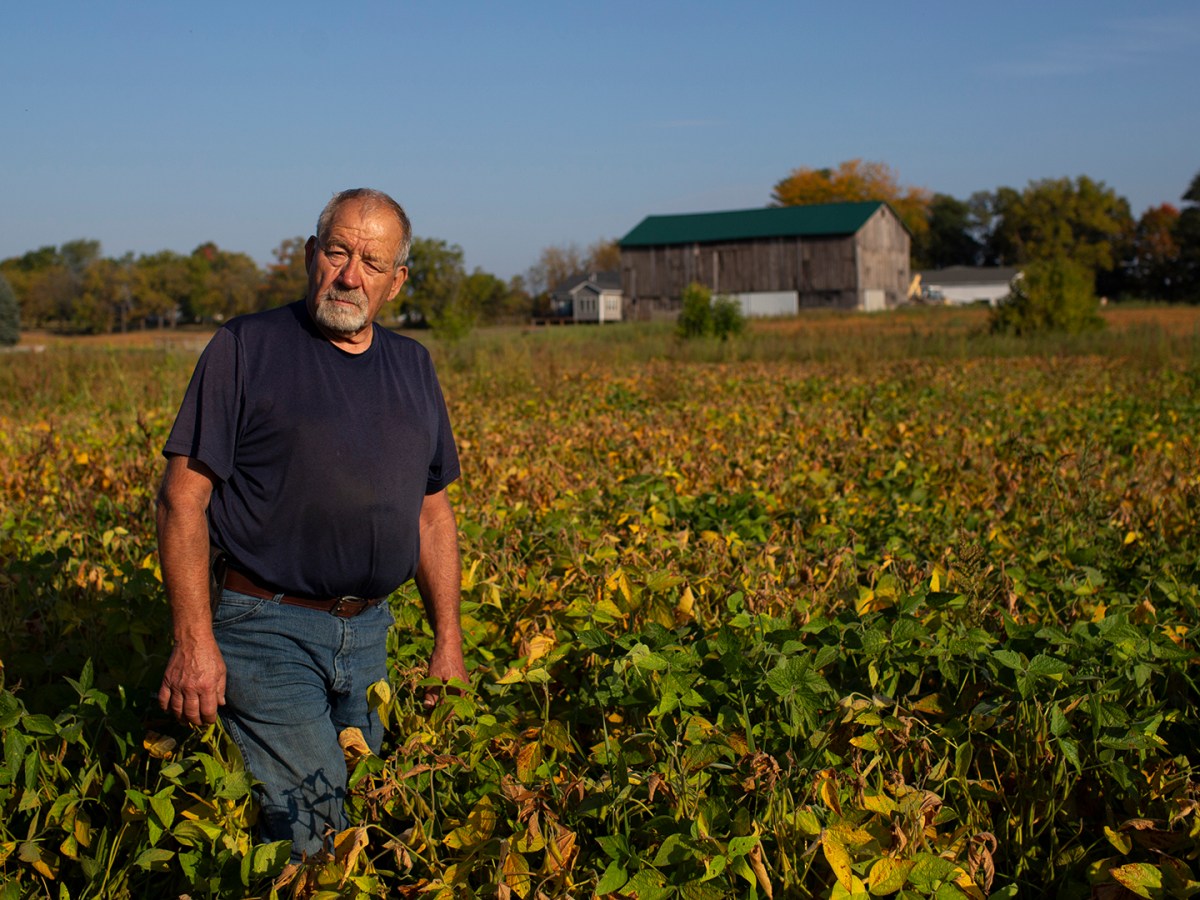 Jim May, owner of May Farms, poses for a portrait in a soybean field at his farm in Sparta, MI.