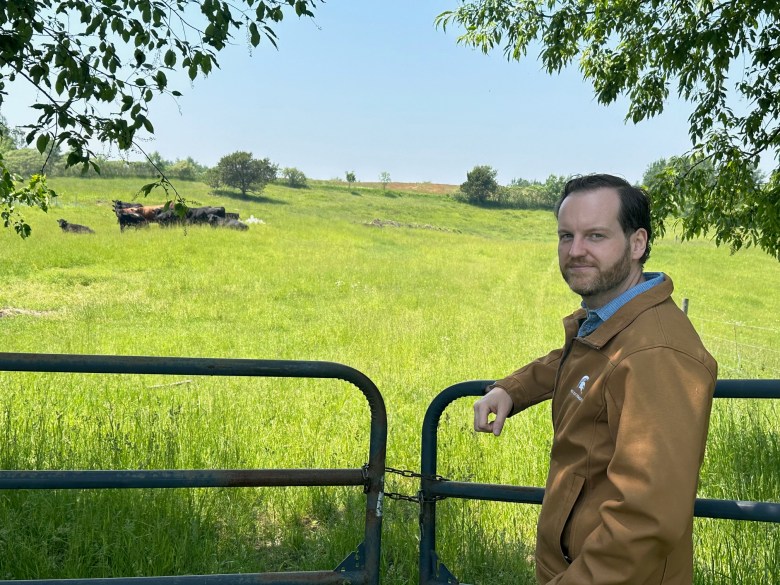 Man stands in front of field of cows