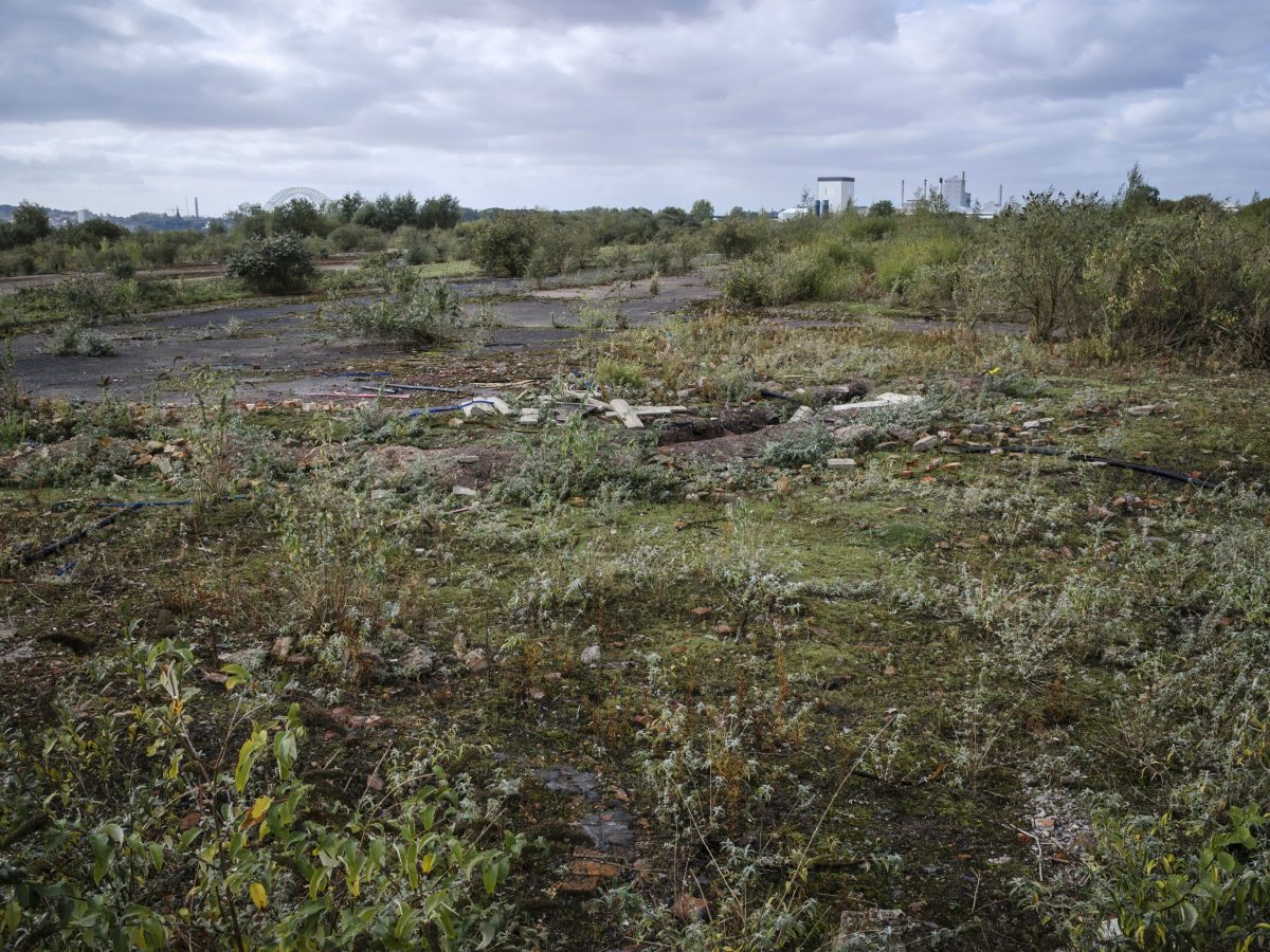 empty field of green and brown