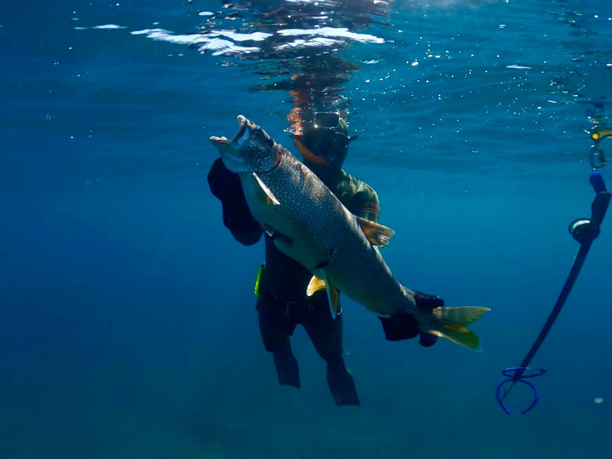 Jon Durtka holds a fish underwater. He is wearing scuba gear.