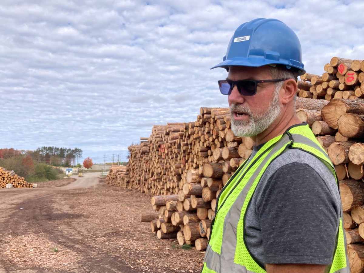 A man wearing a safety vest and hard hat stands in front of massive piles of logs