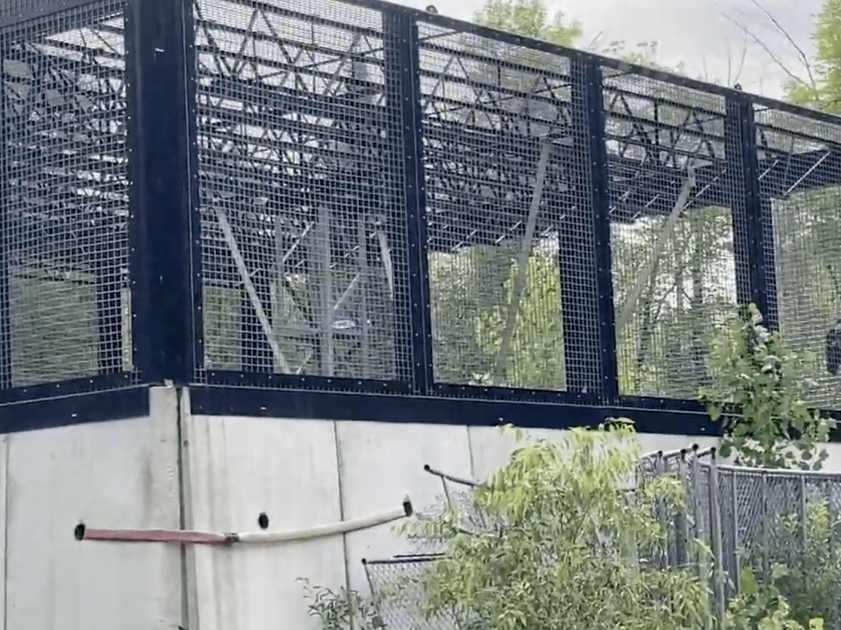 A screen grab shows a large metal and concrete cage with a chimpanzee looking out from inside